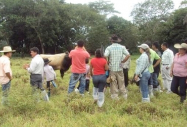 Los ganaderos asociados reciben beneficios mayores frente a quienes no lo están. Foto: CONtexto ganadero. asociatividad ganadera