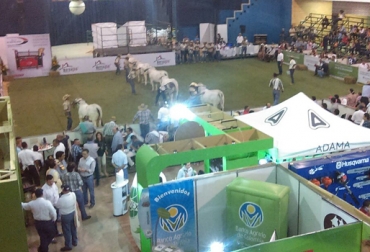 Los buenos resultados obtenidos y la buena aceptación ante los cambios, fueron vitales para que la Agroferia fuera inolvidable. Foto: Luisa Castellanos - Cenfer. Agroferia