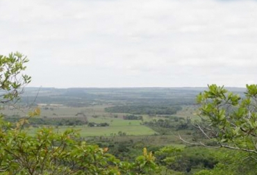 Una sana convivencia entre ganadería y los ecosistemas propios de la sabana, sin que se vean afectados, es el objeto de la investigación. Foto: Gobernación del Casanare. Sabana inundable