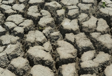 La sequía que afecta el Puerto Colombia, el 31 de julio de 2014. Foto: AFP. sequía temperatura colombia