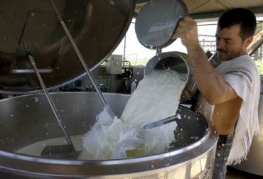 La problemática también se vive en la región del Ariari, donde Alquería redujo el precio $30. Foto: http://innovacionatl.com. Acopio leche en el meta