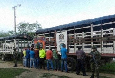 Aunque los 8 hombres detenidos fueron puestos en libertad, se les realizará un seguimiento normativo. Foto: Ejército de Colombia. Contrabando de ganado de Venezuela