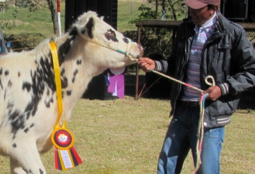 Las inscripciones para Expofusa, evento ganadero de Fusagasugá, están abiertas hasta el próximo 14 de mayo. Foto: Oficina de prensa. Expofusa de Fusagasugá feria ganadera