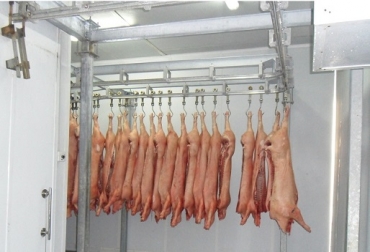 El frigorífico contará con una moderna planta de beneficio de porcinos, la cual podrá faenar 300 animales al día. Foto: intec.com.co. Planta porcinos