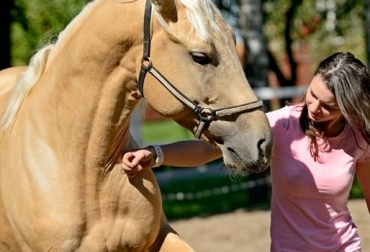 El evento se llevará a cabo los días 14 y 15 de mayo en las instalaciones de la Universidad Cooperativa de Colombia, sede Arauca. Foto: Prensa Universidad Cooperativa de Colombia. Taller de clínica y cirugía equina