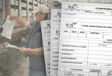 La actualización de los datos es la principal causa para que el trámite tarde más de lo normal. Foto: CONtexto Ganadero. Guías de movilización