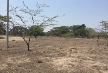 La falta de ayudas para mitigar el verano hizo que los productores decidieran salir a marchar. Foto: CONtexto ganadero. Verano en La Guajira