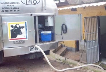 La compañía reactivo la recolección normal de leche, pero en zonas como el Magdalena medio el acopio sigue con límite. Foto: perulactea.com. Colanta acopio