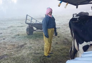 Las heladas han afectado las pasturas en gran parte del departamento. Foto: Leonardo Páez. Heladas afecta desarrollo ganadero