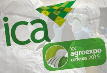 Por ningún motivo se permitirá que cerdos que salgan de zonas declaradas libres de PPC reingresen a la misma después de la feria. Foto: CONtexto ganadero. ica agroexpo animales