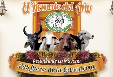 En el evento se esperan ventas superiores a los $1.051 millones. Foto: Comité Cebuísta de Antioquia. Remate las flores de la ganadería
