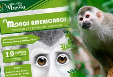 La conferencia llamada 'Monos Americanos' es una mirada a los primates del nuevo mundo. Foto: Cortesía. monos americanos en colombia