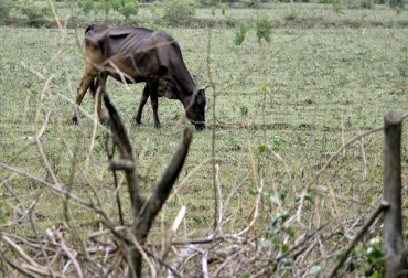 Zonas de las regiones Caribe y Andina, podrían tener déficits de lluvias entre el 40 y el 60 %. Foto: AFP. Fenómeno del Niño Colombia