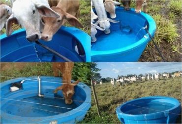 El Fenómeno de El Niño podría generar desabastecimiento de agua en Boyacá. Foto: www.engormix.com. ahorro agua