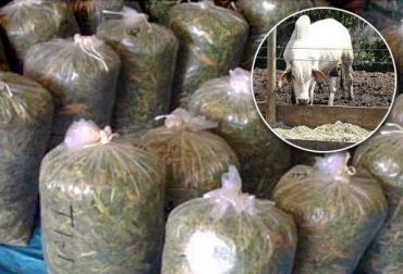 La bodega ganadera en Cesar ha sido recibido con beneplácito por los productores que esperan recibir más ayudada subsidiada ante la sequía. Foto: www.flickriver.com / CONtexto ganadero. bodegas ganaderas colombia