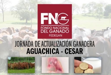 Temas como brucelosis, precio de la leche, costos de producción y el complejo costridial bovino, serán tratados en el evento. Foto: Fernando Higuera - FNG. Jornada de Actualización Ganadera en Aguachica