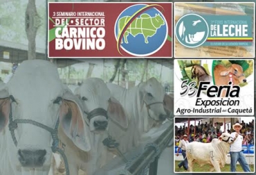 Conozca los eventos ganaderos que cerraran el 2015. Foto: CONtexto Ganadero ferias ganaderas, eventos ganaderos, foros, seminarios, leche, carne, ganado, razas