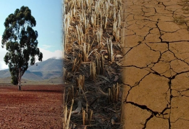 Para que un suelo no se vea tan afectado por la indiscriminada mano del hombre, se pueden seguir consejos y prácticas simples. Foto: CONtexto ganadero. uso de suelos en colombia igac