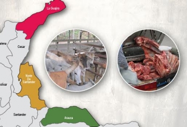 Según los productores, es necesario robustecer los controles por parte de las autoridades para evitar el ingreso de carne y bovinos en pie desde Venezuela. Foto: CONtexto Ganadero. Recomendaciones contrabando colombia