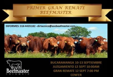 Los martillos del evento serán Misael Espinosa y Omar Ruíz. Foto: Asociación Beefmaster de Colombia. Remate beefmaster