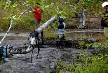 Las pasturas afectadas por la explotación de hidrocarburos pueden recuperarse a través de la bionización. Foto: jaguaresprocesos.blogspot.com.co. recuperación suelos contaminados