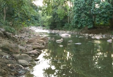 Los caudales de los ríos Frío, de Oro, Lato, Suratá y Tona han disminuido y por ende afectado a ganaderos de Santander. Foto: @lumaca27 bajo caudal, ríos, ganaderos, afectaciones, Santander