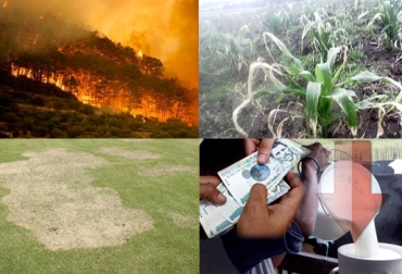Los incendios y las heladas ocasionaron pérdidas en material vegetal del Altiplano Cundiboyacense.Foto: CONtexto Ganadero Boyacá, Cundinamarca, Incendios, Heladas, Deterioro de pastos, Bajo pago leche, CONtexto Ganadero