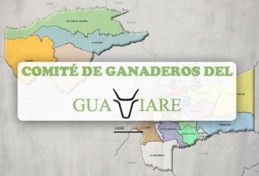 La entidad dará apertura de una nueva oficina en Miraflores, llegando a 5 puntos de atención. Foto: CONtexto Ganadero. Comité de Ganaderos del Guaviare