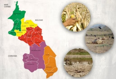 La sequía ha generado que el sector esté atravesando una grave crisis. El departamento no cuenta con recursos para enfrentar la situación. Foto: CONtexto Ganadero. crisis agropecuaria sucre