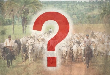 Ganaderos del Caribe siguen apostándole a la actividad pecuaria pese a la difícil situación. Foto: CONtexto Ganadero ganaderos, Caribe, actividad pecuaria, economía,