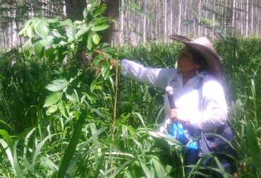 La experta mexicana Martha Xochitl Flores resaltó el ejemplo de la finca La Luisa para los demás predios de la región. Foto: Proyecto Ganadería Colombiana Sostenible Cesar, Codazzi, Finca La Luisa, sistema silvopastoril intensivo, SSPI, aumento de la productividad, beneficios sistemas silvopastoriles, sostenibilidad, afectaciones colombia fenómeno de el niño, afectaciones climáticas, afectaciones de la sequía, Fedegán, CONtexto ganadero