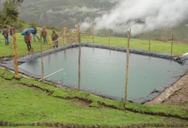 Gremio ganadero considera que la idea de una posible construcción de reservorios en el departamento sería beneficiosa para el sector. Foto: televicentro.hn El Niño, cambio climático, sequía, agua, reservorios, ganaderos, Gobierno, recursos hídricos, Colombia, Nariño