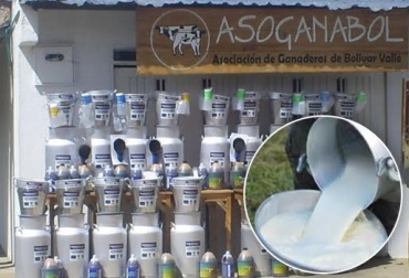 Asoganabol cumplió 10 años de servicio en Valle del Cauca. Foto: Cortesía-CONtexto ganadero. asociatividad de ganaderos