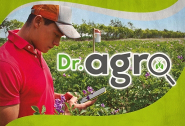 La aplicación es una herramienta para los asistentes técnicos y ayuda a detectar las plagas que afectan a los cultivos. Foto: Corpoica. Córdoba, Montería, Agronova, Agronova 2015, Corpoica, Dr. Agro, aplicación smartphone, aplicación Web, Ministerio de Agricultura, Ministerio de las TIC, Agrotón, Universidad Tecnológica y Pedagógica de Colombia, UPTC, .contexto ganadero