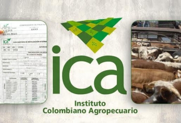 Ganaderos de Colombia denuncian que continúan las deficiencias en la expedición de las guías de movilización animal del ICA: Foto: CONtexto ganadero. guías de movilización animal ICA