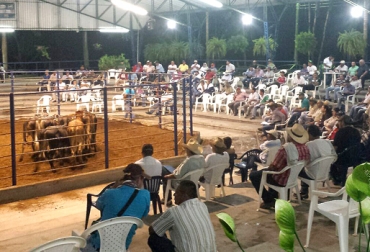 Más de 350 asistentes llegaron a la primera edición de la subasta de agroinsumos. Foto: Óscar Medina. Valle del Cauca, Cartago, Suganorte, Primera gran subasta de genética y agroinsumos, altos costos de los insumos, altos costos de las materias primas, Brahman rojo, Brahman gris, Simmental, ganado seleccionado, kits de vaquería, kits de ordeño, CONtexto ganadero