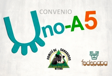 El convenio Uno-A5 beneficiará a más de 100 productores en 32 municipios de Cundinamarca. Foto: Comité de ganaderos del Área 5. Cundinamarca, Zipaquirá, Comité de Ganaderos del Área 5, Fedepapa, Federación Colombiana de Productores de Papa, Convenio Comité Área 5 y Fedepapa, ahorro para ganaderos, créditos, .contexto ganadero