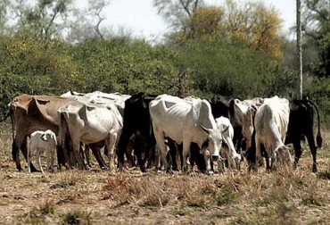 Según las previsiones de entidades climáticas, el verano se extendería hasta el segundo trimestre de 2016. Foto: www.actualidadganadera.com. verano Colombia