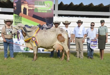 El propietario de la empresa tiene el récord de producción de leche en trópico, con 49 litros diarios. Foto: José Saade. Generosa SJ