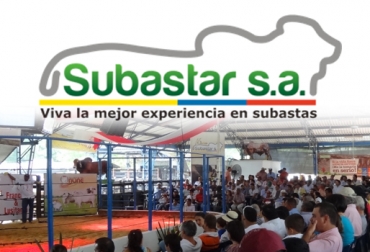 El gerente de Subastar S.A. pretende impulsar el método de ventas por Internet para que participen aquellos que no pueden asistir al evento. Foto: CONtexto ganadero. Subastar S.A., Córdoba, Subastas por internet, Venta de ganado, Balance de subastas 2015, Balance 2015, Montería, aumento de ventas, precio del ganado, .contexto ganadero