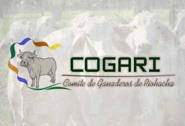 El líder del comité de ganaderos de Riohacha reclamó más créditos y menos ayudas. Foto: CONtexto La Guajira, Riohacha, escasez de agua, escasez de agua en la guajira, escasez de alimento, falta de agua, inventario bovino en La Guajira, muerte de animales, pozos profundos, Unidad Nacional para la Gestión del Riesgo de Desastres, Gobernación de La Guajira, Comité de Ganaderos de Riohacha, Maicao, Manaure, Uribia, Gobierno Nacional, créditos, subsidios, ayudas, regalos, CONtexto ganadero, ganaderos colombia