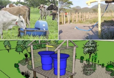 Todo predio ganadero debe priorizar el tener agua antes que comida bovina. Foto: www.cuentadelmilenio.org.ni / CONtexto Ganadero. cosecha de agua