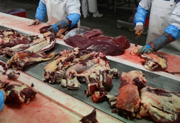 La alianza entre el Frigorífico Río Frío y el Grupo Manzanares busca posicionar el departamento como el principal exportador del país. Foto: CONtexto Ganadero. exportar carne, exportación carne bovina a China, exportación carne bovina a EEUU, frigorífico Río Frío, Santander, planta de desposte y congelamiento