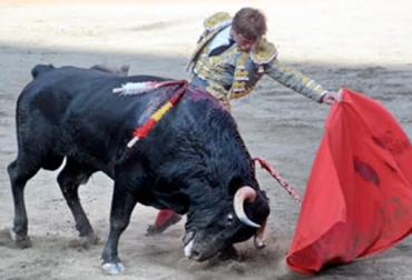Aficionados por la fiesta brava podrán disfrutar de grandes eventos taurinos en diferentes ciudades capitales del país. Foto: http://www.somostaurinos.com. temporada taurina, corrida de toros, aficionados, fiesta brava, Manizales, Bogotá, Medellín, Colombia