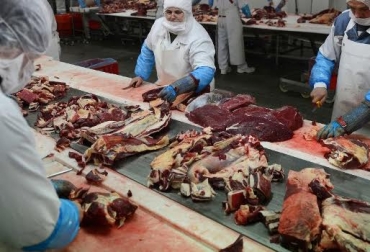 En Colombia se han registrado 721 plantas de las cuales 394 operan con visto bueno. Foto: CONtexto Ganadero. carne de res