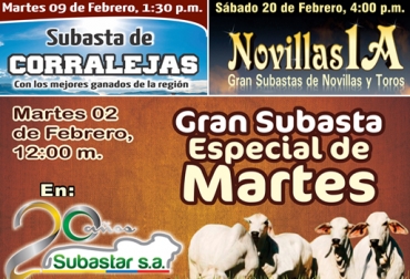En febrero se llevarán 4 subastas especiales en la comercializadora Subastar S.A. Foto: Subastar S.A. Córdoba, Montería, Subasta especial en Montería, Subasta especial de corralejas en Planeta Rica, Subasta Novillas 1A de novillas y cría, Subasta Novillas 1A en Planeta Rica, subasta Ganado Rojo y F1 en Montería, Fiestas patronales en Planeta Rica, CONtexto ganadero, Ganaderos Colombia
