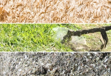 Este tipo de insumos vienen siendo utilizados por los ganaderos del Alto Magdalena. Foto: CONtexto ganadero Cundinamarca, Alto Magdalena, Nariño, Coello, Tocaima, alternativas de suplementación en hatos ganaderos, alternativas alimenticias extremas, pasto, tamo de arroz, gallinaza, alternativas para alimentar el ganado en época de sequía, alternativas para alimentar el ganado en época de sequía en Cundinamarca, CONtexto ganadero, Ganaderos Colombia