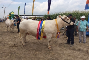 En el campo, a las afueras de Ibagué, se llevó a cabo la edicicón de este 2016 de Agroshow. Foto: Cortesía. 2016 de Agroshow pajonales tolima colombia