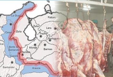 La medida que adoptó hace 6 meses Nicolás Maduro no ha incrementado el sacrificio legal de bovinos en Colombia. Foto: CONtexto Ganadero. Frontera entre Colombia y Venezuela