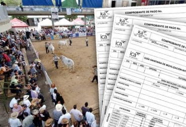 El Instituto Colombiano Agropecuario, ICA, hizo inicialmente la prueba en la plaza de feria de Facatativá. Foto: CONtexto ganadero. guias de movilización ica Colombia